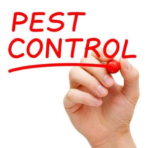 pest control company