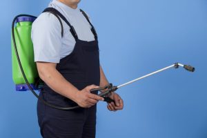 natural pest elimination