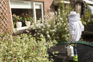 pest control