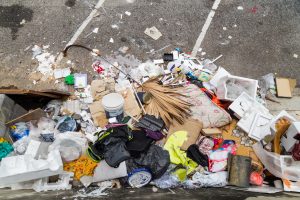 Rubbish Is a Haven for Pests