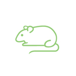 Small Mouse Exterminator Pest Control Southern Oregon