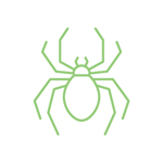 Spider Pest Control Rogue Valley