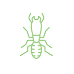 Termite Pest Control Exterminator Rogue Valley