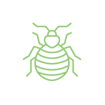 Bed Bug Exterminator Pest Control Southern Oregon