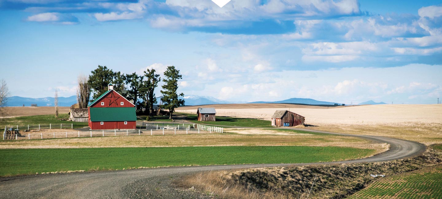 Pest Control Star Idaho