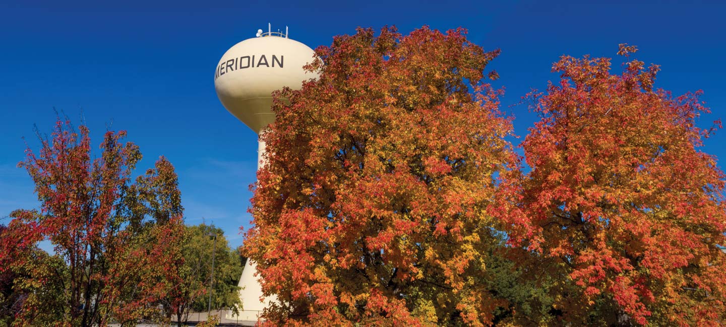 Pest Control Meridian Idaho