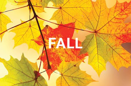Fall