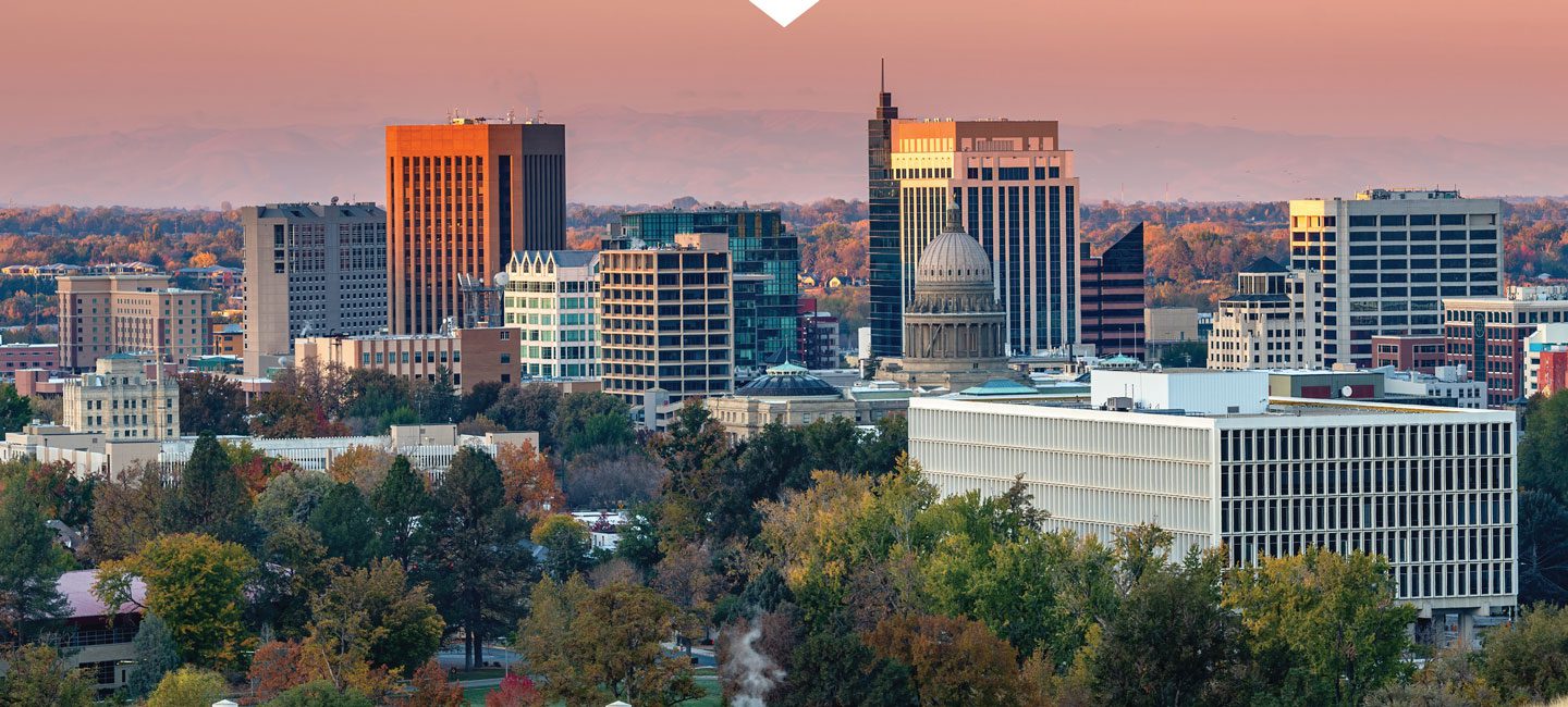 Pest Control Boise Idaho