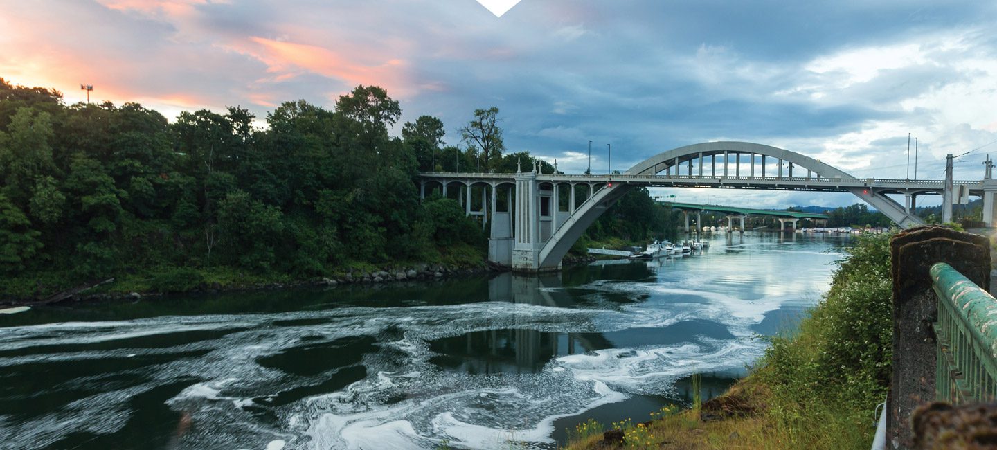 Pest Control Oregon City Oregon